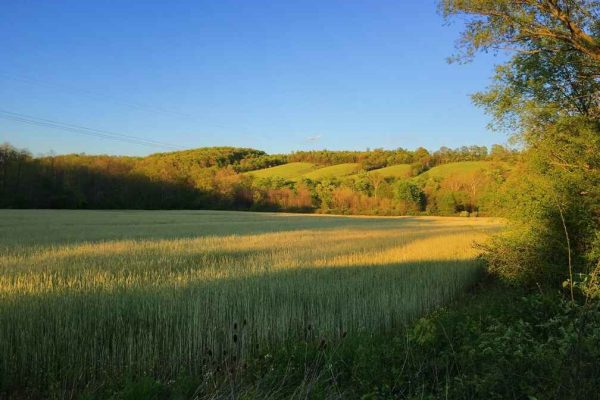 Rolling green hills and golden fields stretch under a clear blue sky in Bedford County, Pennsylvania, with trees lining the horizon.
