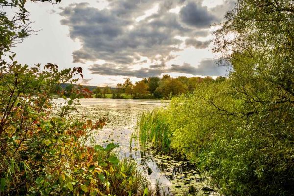 A serene lake in Blair County, surrounded by lush greenery and autumn foliage under a partly cloudy sky, with lily pads floating on the water.
